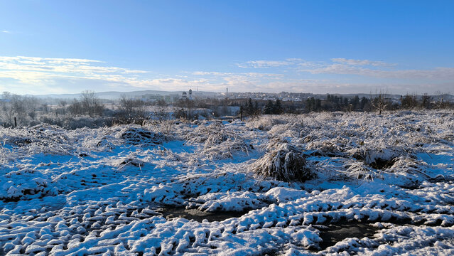 landscape in Srem, Vojvodina, in bright snowy winter day