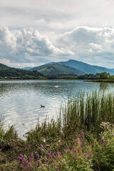 La lebede Lake - Eastern Carpathians - Romania - Europe 