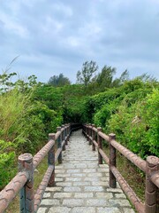 scenic pathway with stone steps and wooden railings leading into a lush green forest