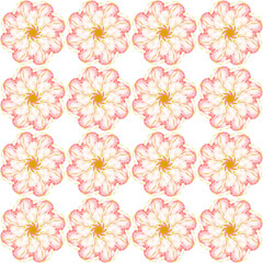 Obraz premium seamless pattern with flowers