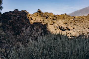 Route to reach the base of the Teide volcano. Tenerife Canary Islands Spain