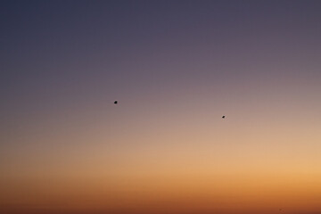 sunrise on the sea