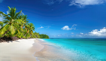 Tropical beach with palm trees during a sunny day