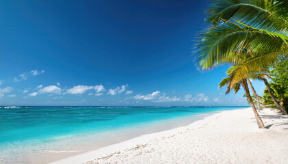 Obraz premium Tropical beach with palm trees during a sunny day