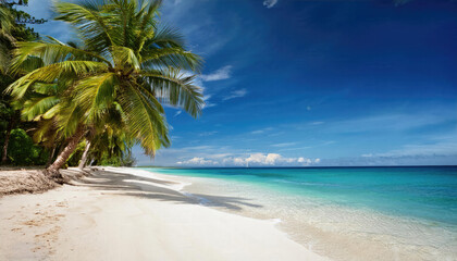 Obraz premium Tropical beach with palm trees during a sunny day