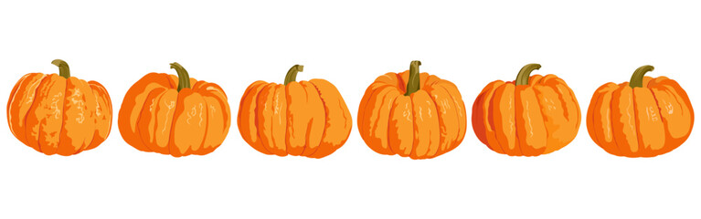 Pumpkins of different shapes set isolated on white background. Hand drawn simple autumn vector set.