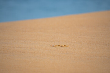 4K. sand with blurred ocean water wave tropical beach bokeh background, summer vacation and travel concept with copy space