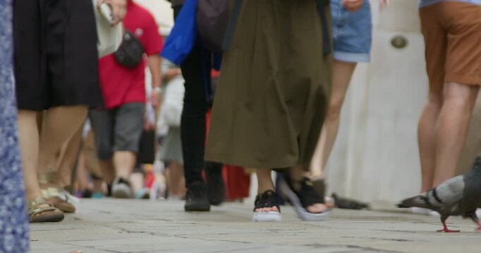 Low angle shots capture diverse people walking on a bustling stone paved street, with a pigeon strutting among them. Perfect for city life and urban environment themes