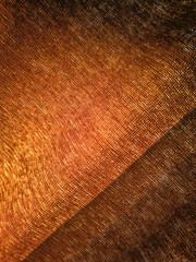 Warm light gradient and abstract shadows background, brown orange gradient, fabric texture, autumn fall 