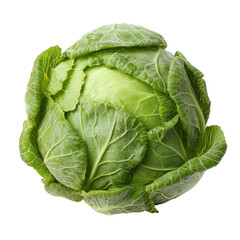 Fresh green cabbage with vibrant leaves, perfect for salads, cooking, or garnishing, symbolizing healthy eating and nutrition.