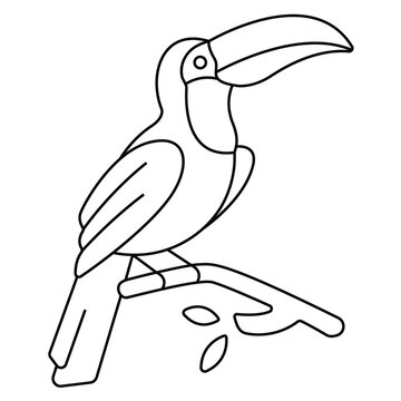 recommend clip art: Tropical Toucan Perched on Branch Line Art