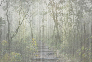 Path in a mysterious tropical forest. Illustration for decoration, walpaper, poster, card.