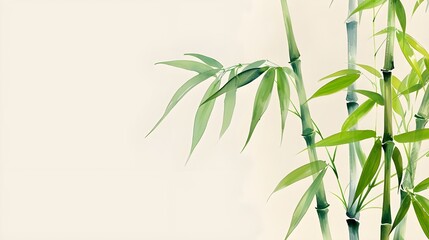 Fototapeta premium elegant bamboo stalks painted in a minimalist style. 