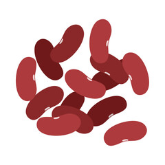 レッドキドニー（赤インゲン豆）。フラットなベクターイラスト。
Kidney beans. Flat vector illustration.