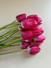Bouquet of fresh pink tulips with water drops on white table