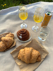 Picnic on green grass in nature with glasses of juice and food