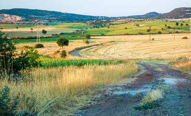 panorama field