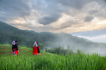 Ethnic Red Dao women standing in rice terraces in the Hoang Su Phi district of Ha Giang Province, Northern Vietnam