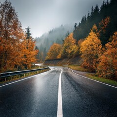 Fototapeta premium Autumn Journey: Winding Mountain Road Through Rain-Kissed Forest 