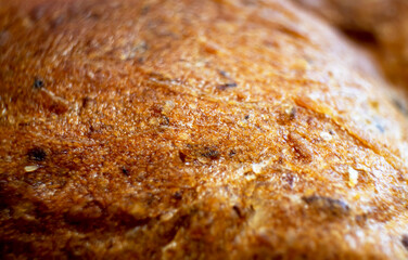 macro view of bread