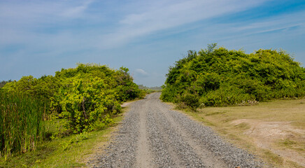 lonely road in the countryside, road to natural sanctuary 
