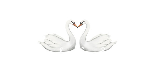 Love swans png sticker, Valentine's Day graphic, transparent background