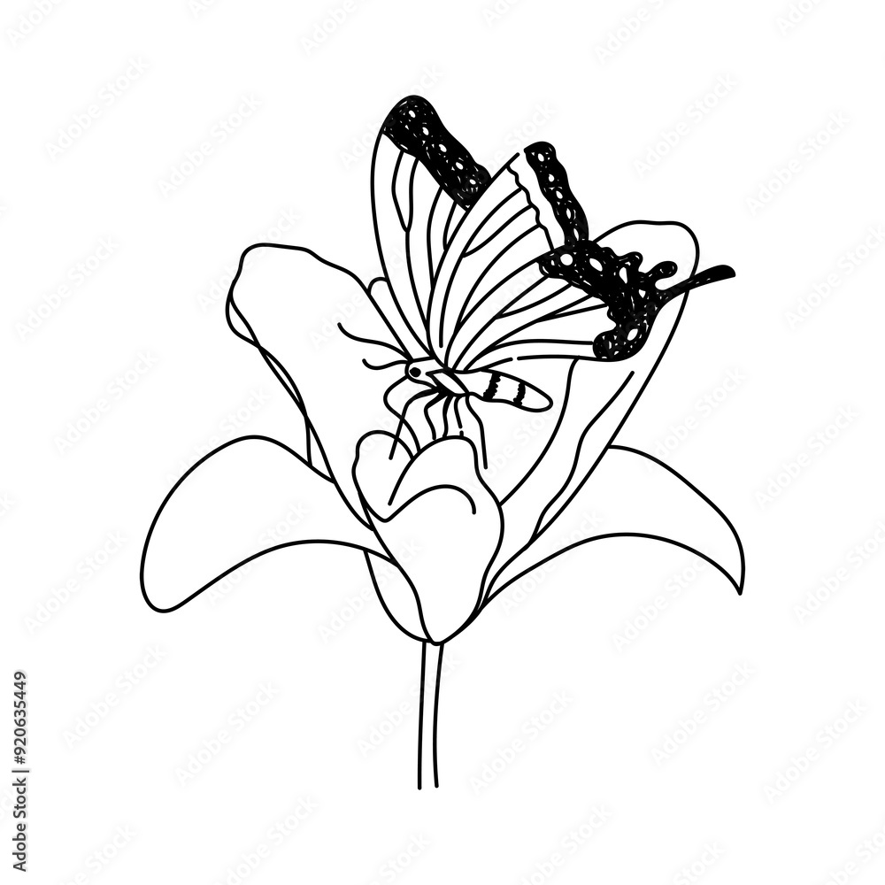 Poster png butterfly & flower doodle illustration, transparent background