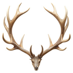 Reindeer Antlers Isolated On Transparent Background.
