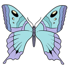 Vintage old school flash tattoo butterfly png symbol