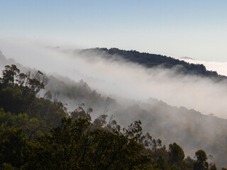 Fototapeta premium fog in the mountains