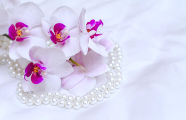 The branch of purple orchids on white fabric background
