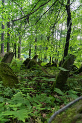 Kirkut w Lesku Macewy  © wedrownik52