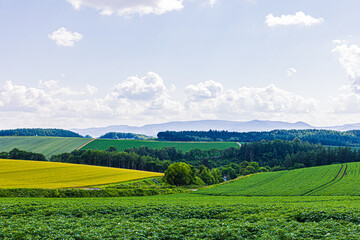 Obraz premium 田園風景