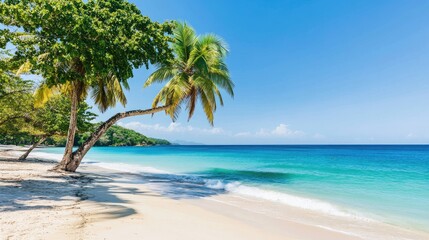 Beautiful Jamaican beach with turquoise sea and tall palm trees. Sun, sand, and sea at its best.