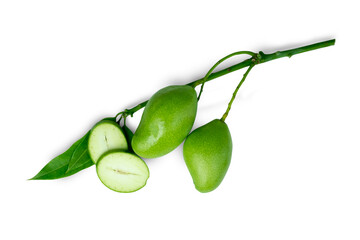 Mini Mango or Ma Muang Baw or Mangifera Indica L. or Young Mango fruits whole and sliced with leaf and branch isolated on white background with clipping path top view flat lay.
