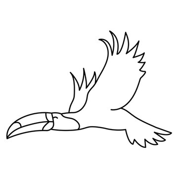 recommend clip art: Flying Toucan Bird Outline Art