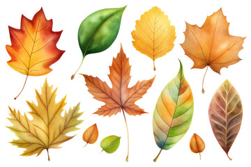 Obraz premium Watercolor autumn leaves. Collection of multicolored fallen autumn leaves isolated on white background