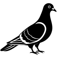 Vector Art of Pigeon - High-Quality Pigeon Graphic Design Illustration