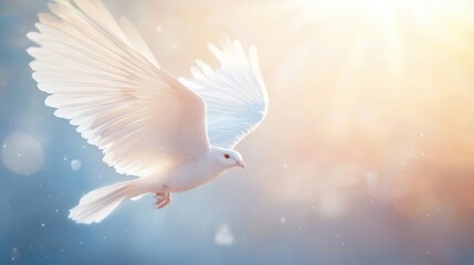 Fototapeta premium White dove flying in a radiant light, symbolizing peace, hope, and spirituality.