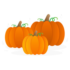 Pumpkins with leaves, group of pumpkins. Autumn pumpkins. Vector illustration