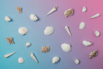 Creative composition with seashells on gradient pastel pink and blue background. Summer minimal concept.