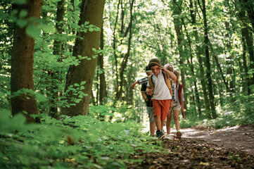 Bunch of green plants and leaves. Kids in forest at summer daytime together