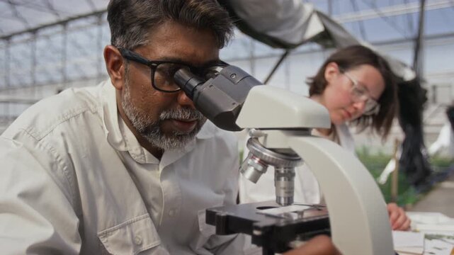 Tilt up shot of senior male botanist in lab coat looking through microscope while female assistant taking notes in background during research in greenhouse