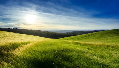 Obraz premium Sunset over the field