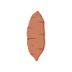 sweet potato flat design vector illustration isolated on white background. Natural organic cooking ingredient for restaurant, food recipe or healthy eating concept. healthy vegan natural food