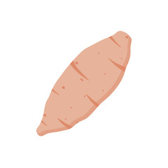 sweet potato flat design vector illustration isolated on white background. Natural organic cooking ingredient for restaurant, food recipe or healthy eating concept. healthy vegan natural food