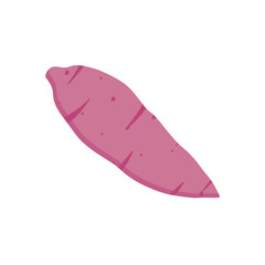 sweet potato flat design vector illustration isolated on white background. Natural organic cooking ingredient for restaurant, food recipe or healthy eating concept. healthy vegan natural food