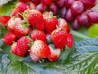 Photo of red strawberry and purple grapes on green leaves.