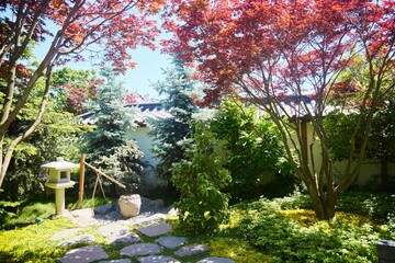 Japanese Garden Corner. Plants and paths in the park