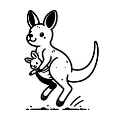 Obraz premium kangaroo